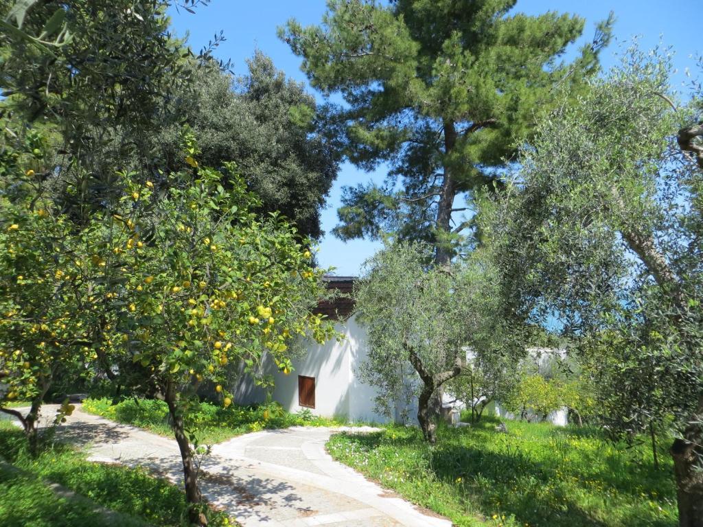 Villaggio Hotel Ripa Rodi Garganico Εξωτερικό φωτογραφία