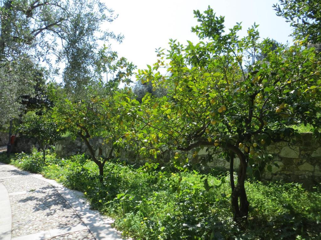 Villaggio Hotel Ripa Rodi Garganico Εξωτερικό φωτογραφία