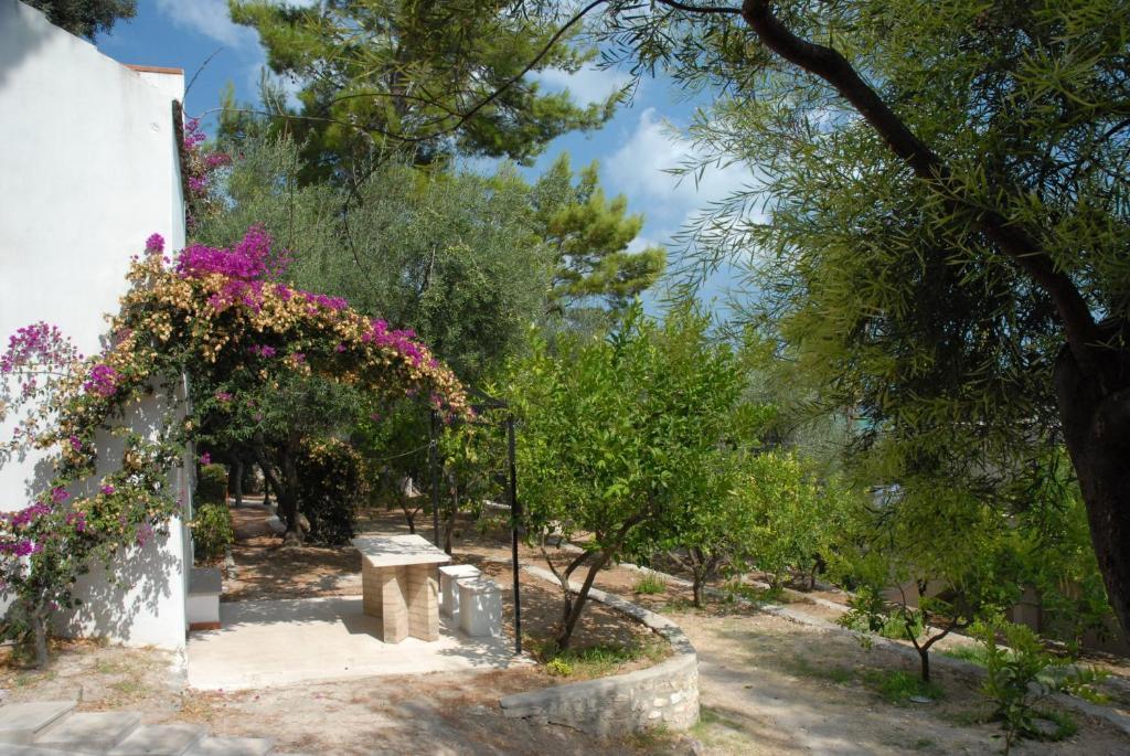 Villaggio Hotel Ripa Rodi Garganico Εξωτερικό φωτογραφία
